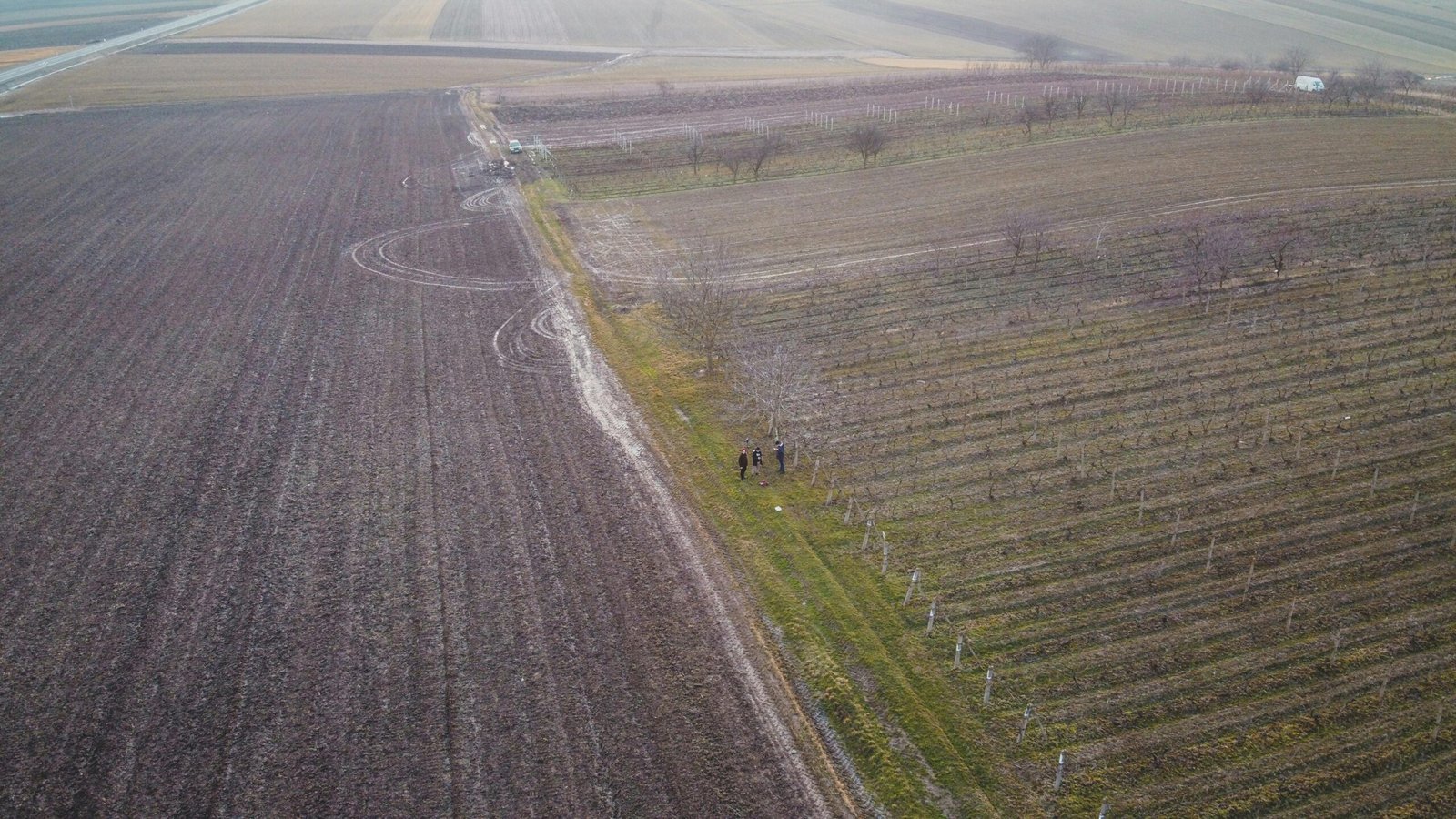 Drone shot capturing expansive farmland in Săcueni, Romania, showcasing cultivation patterns.