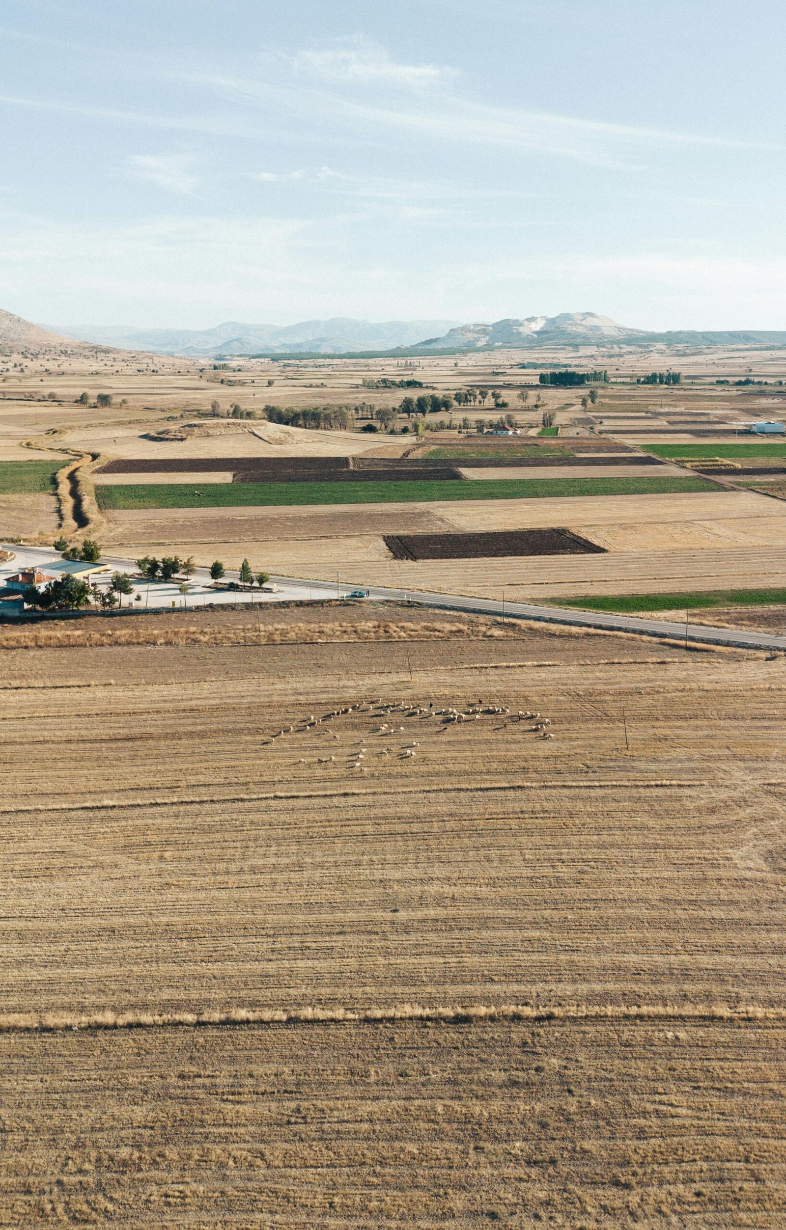 High-angle drone shot of expansive farmland with distant mountains under a clear sky.